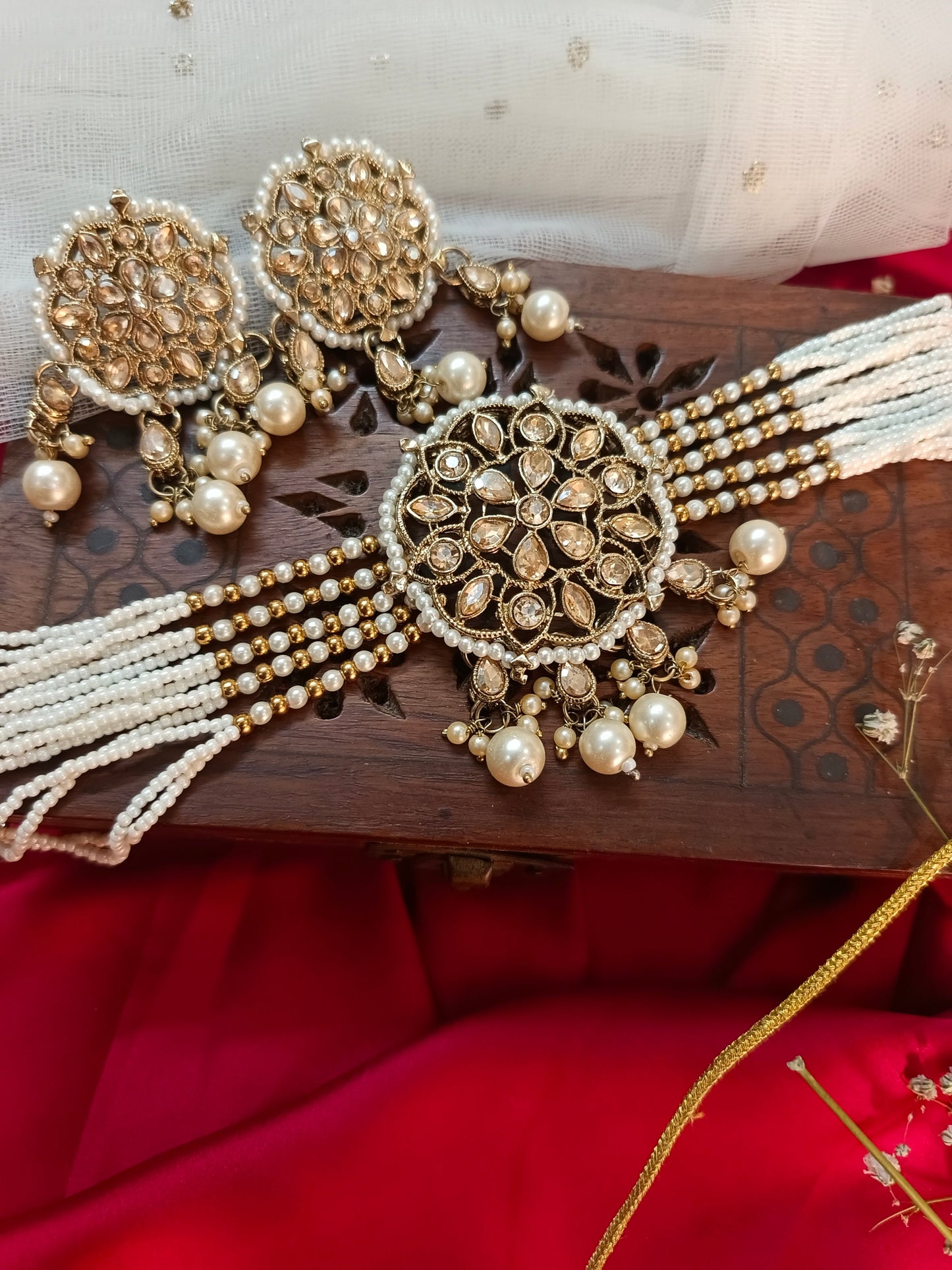 Elegant Traditional Indian Set